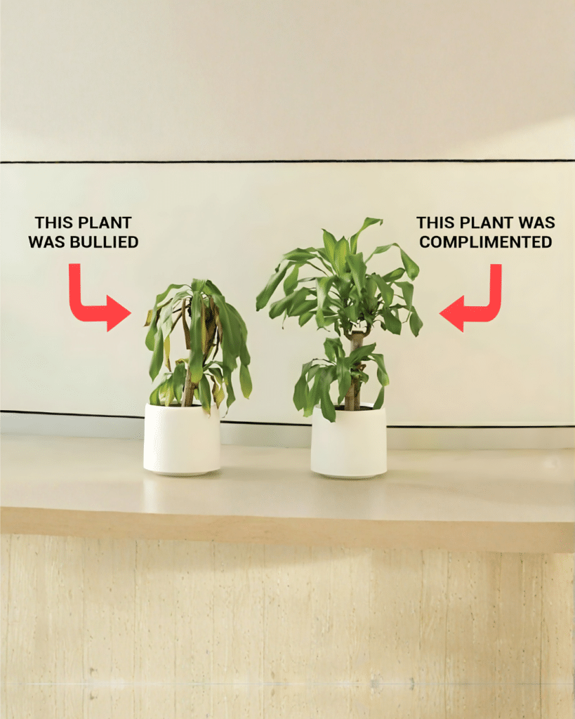 We Do Not Need More Technology in Schools. We Need Humanity